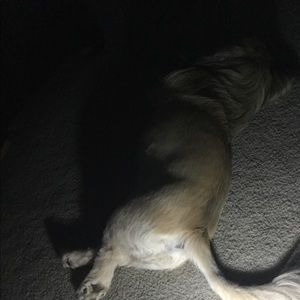 Meet your Posher, Tammi